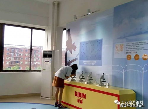 麒麟一番榨 暢享純正啤酒之旅，盡在觀光工廠與貼心服務(wù)